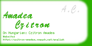 amadea czitron business card